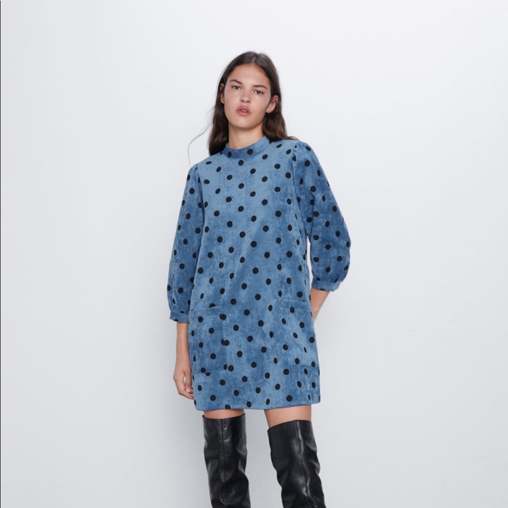 Zara Corduroy print dress
